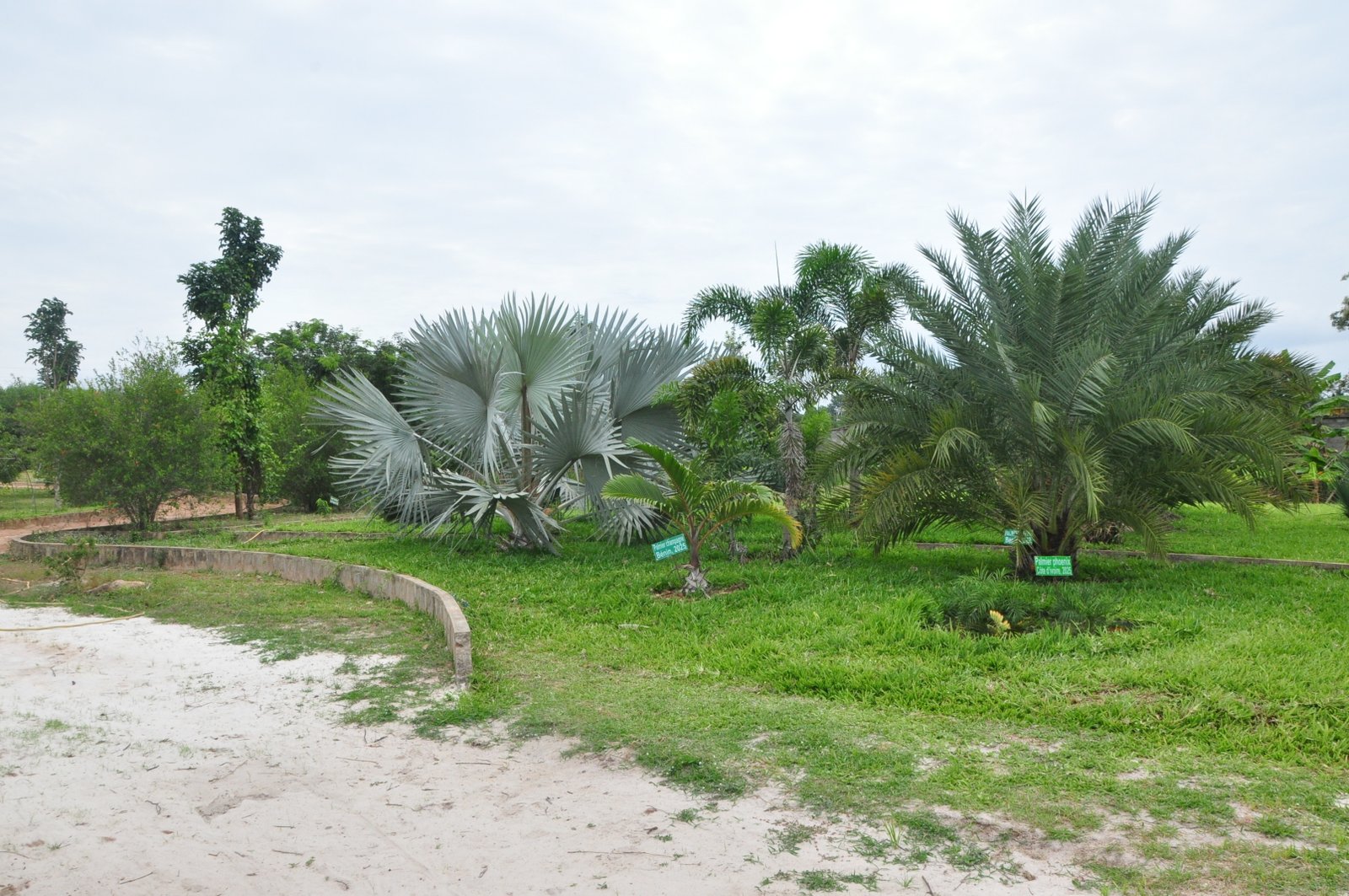 Jardin des saveurs — DBA WAOUH