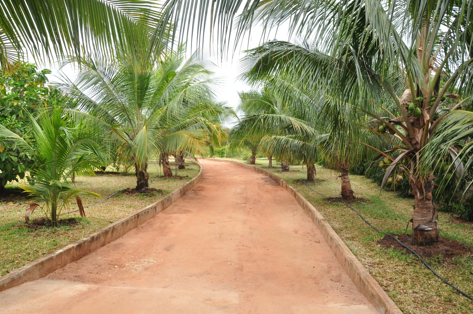 Jardin des saveurs — DBA WAOUH