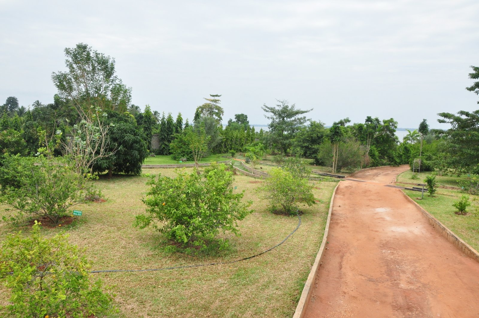 Jardin des saveurs — DBA WAOUH