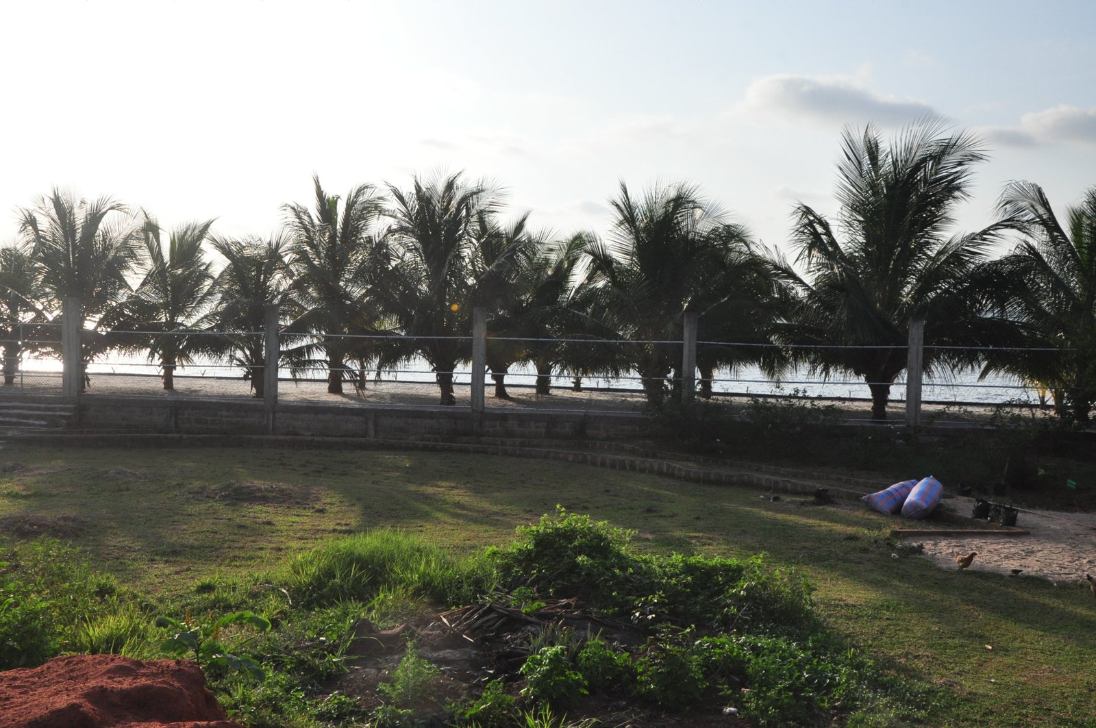 Recoins & espaces naturels — DBA WAOUH